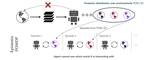 Langevin Thompson sampling with logarithmic communication: bandits and reinforcement learning